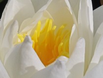 Preview - Click to zoom